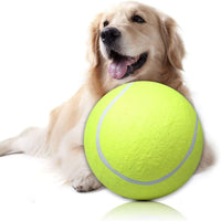 Dog Tennis Ball