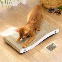 Cat Scratchers