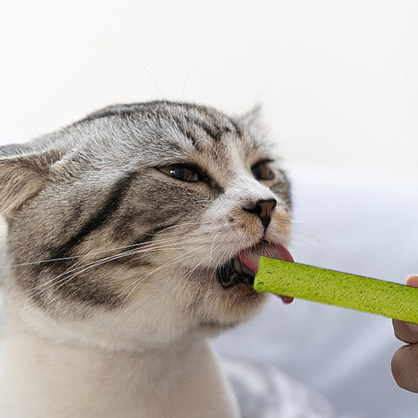 Catnip and Grass Treats