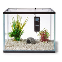 Fish Aquariums