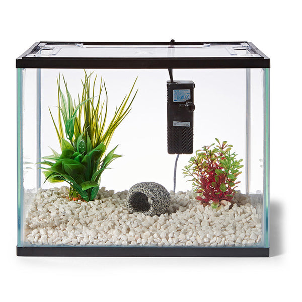 Fish Aquariums