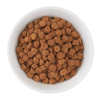 Cat Dry Food