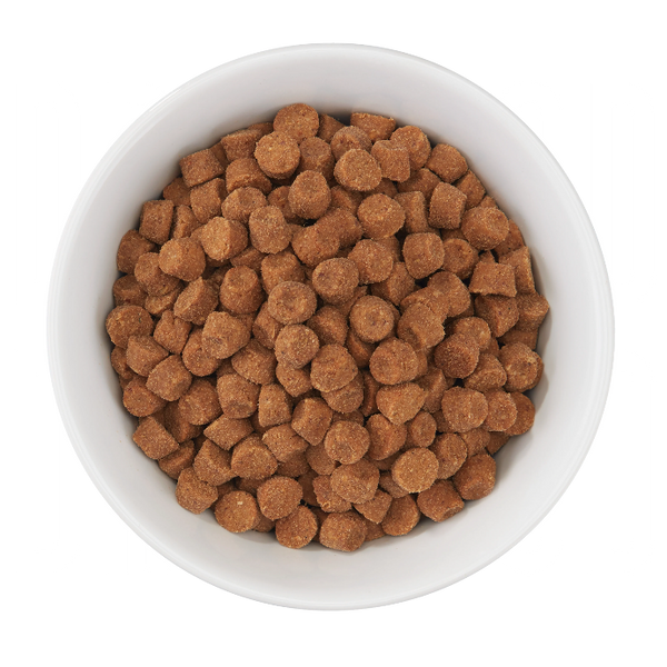 Cat Dry Food