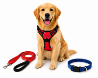 Dog Leashes, Collar, Harnesses and Muzzle