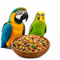 Parrot and Parakeet