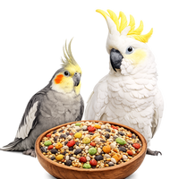 Cockatiel and Cockatoo