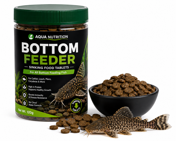 Fish Bottom Feeder