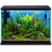 Aquariums Freshwater