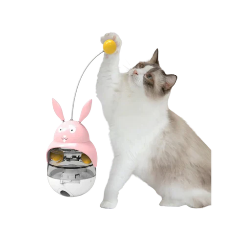 Cat Toys
