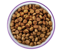 Puppy Food