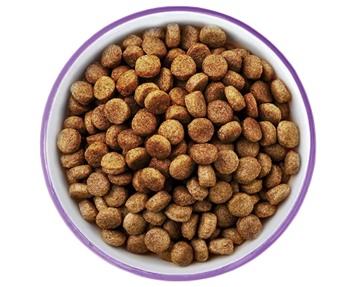 Puppy Food