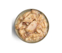 Cat Wet Food
