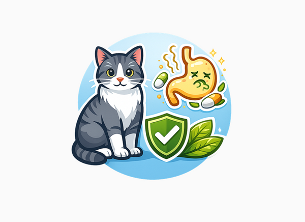 Hill's Sensitive Digestion Cat