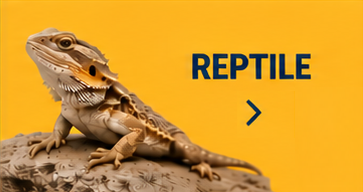 Reptile