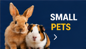 Small Pets