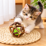 Interactive Wooden Cat Toy Ball with Bell
