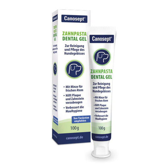 Canosept Dental Care Toothpaste (100g)