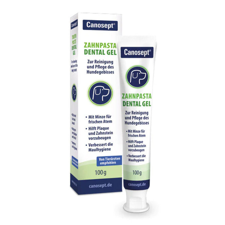 Canosept Dental Care Toothpaste (100g)