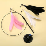 Cat Teaser Stick with Feather