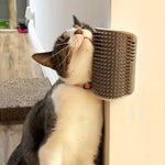 Cat Corner Scratching Brush