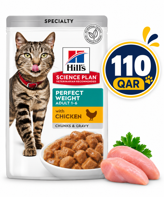 Hills Science Plan Perfect Weight Adult Feline Food with Chicken 85gx12