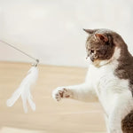 Cat Teaser Stick with Feather