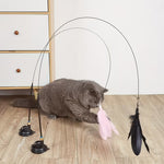 Cat Teaser Stick with Feather