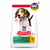 Hill’s Science Plan Medium Puppy Food With Chicken (14kg)