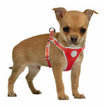 FLASHLIGHT HARNESS  WITH LEASH 120x35 45cm/15mm