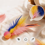 Cat Feather Bouncing Ball