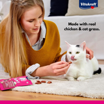 Vitakraft Cat Treat Yums Chicken & Cat Grass 40g