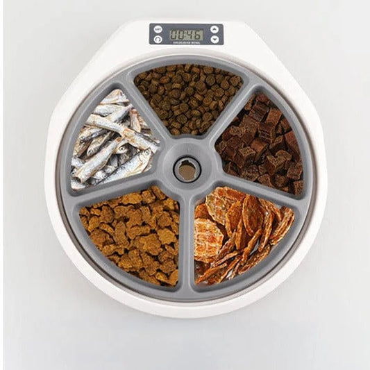 PAWISE Automatic Pet  Feeder
