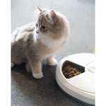 PAWISE Automatic Pet  Feeder