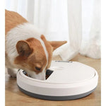 PAWISE Automatic Pet  Feeder