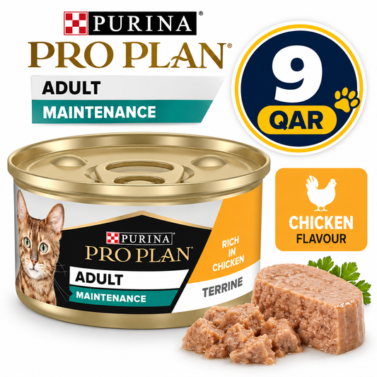 Purina Pro Plan Maintenance Adult Wet Cat Food, Terrine with Chicken 85gN5 XE