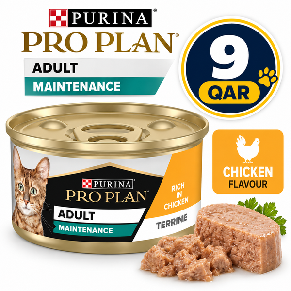 Purina Pro Plan Maintenance Adult Wet Cat Food, Terrine with Chicken 85gN5 XE