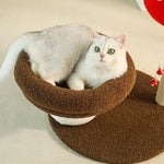 Modern Mushroom Cat  Perch & tree 48*48*58cm