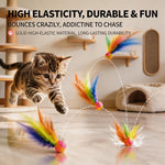 Cat Feather Bouncing Ball