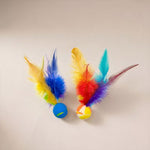 Cat Feather Bouncing Ball
