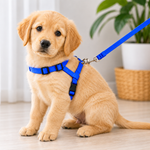 Cat Harness & Leash Kit Blue