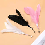 Cat Teaser Stick with Feather