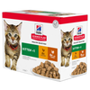 Hill’s Science Plan Kitten Wet Food Multipack Chicken & Turkey Flavour Pouch (12x85g)