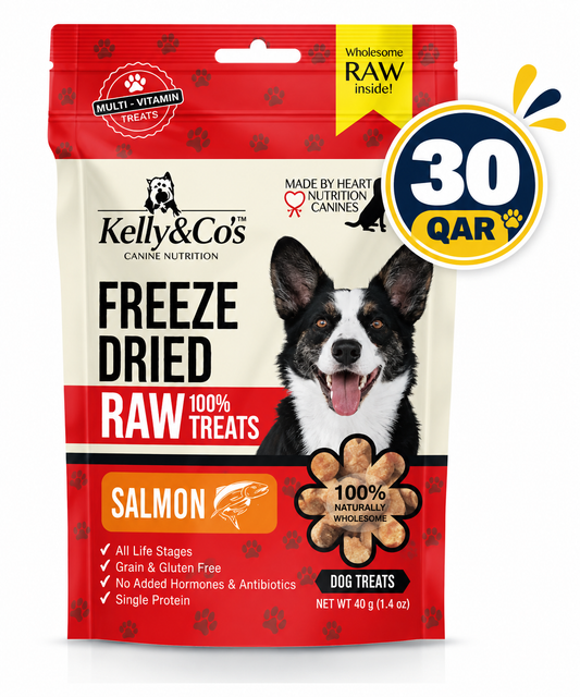 KELLY & CO’S SI FD  Salmon Dog 40g