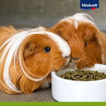 Vitakraft Rabbit Pellets 1kg