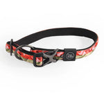 CATOGO Cat Harness &  Leash Set - Red