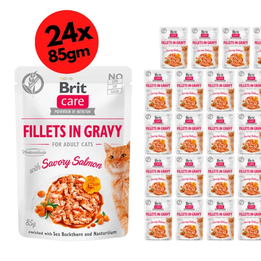 Brit Care Cat Fillets in Gravy with Savory Salmon 24x85g