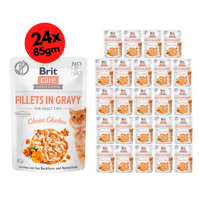 Brit Care Cat Fillets in Gravy Choice Chicken 24x85g