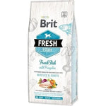 Brit Fresh Fish with Pumpkin Adult Large 12 kg