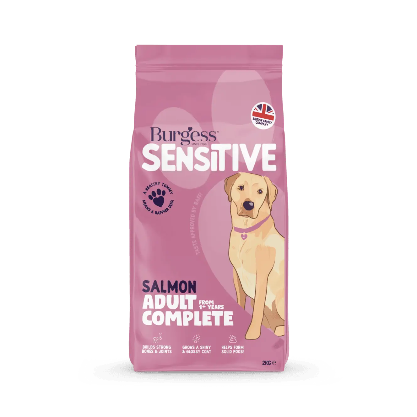 Burgess Sensitive Adult Dog Salmon 2 kg