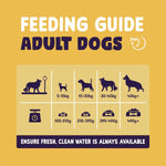 Burgess Sensitive Adult Dog Turkey 12.5 kg